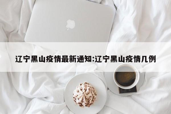 辽宁黑山疫情最新通知:辽宁黑山疫情几例