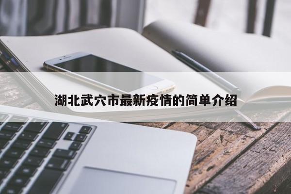湖北武穴市最新疫情的简单介绍